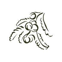 Immagine da Immagine 758813c0, un'altra immagine di prodotto khadi Immagine da Immagine 758813c0, un'altra immagine di prodotto khadi