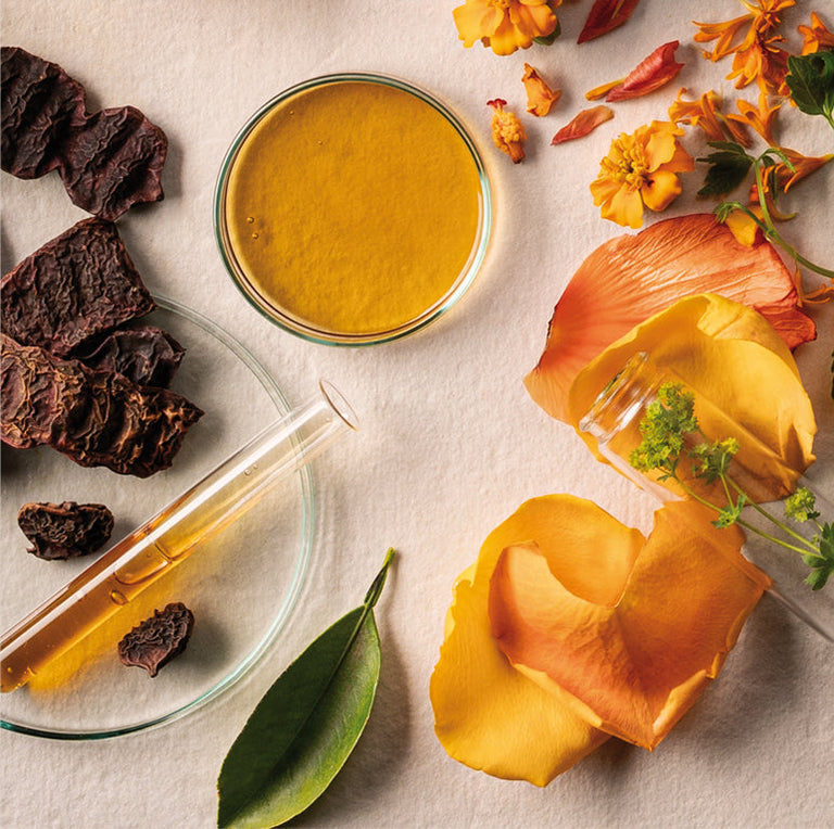 Immagine del lessico degli ingredienti attivi che spiega ingredienti e principi attivi Immagine del lessico degli ingredienti attivi che spiega ingredienti e principi attivi