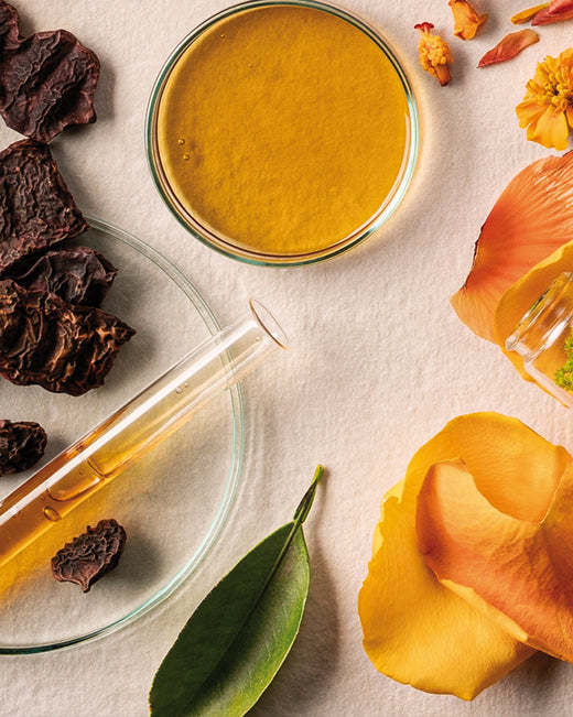 Libro ayurvedico di khadi - immagine della ricetta Ayurveda
