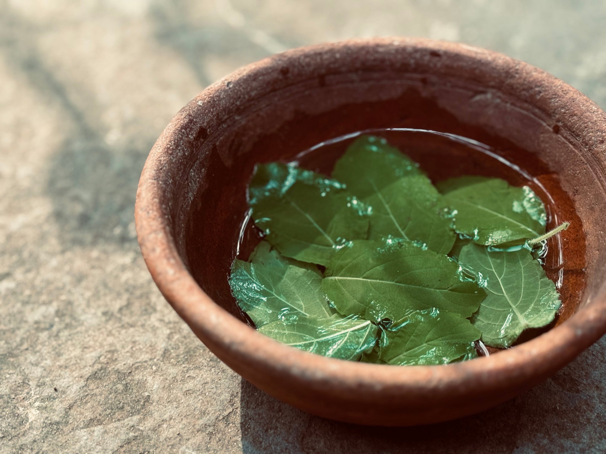 Video della ciotola con le foglie di erbe come ingredienti dei prodotti khadi Video della ciotola con le foglie di erbe come ingredienti dei prodotti khadi