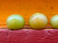 Set di Amla ringiovanente reclinabile di khadi