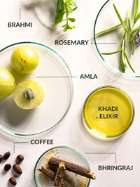 Rosemary Grow Shampoo