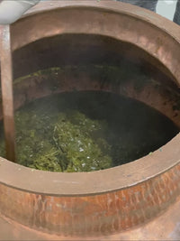 Video dello shampoo al Neem di khadi