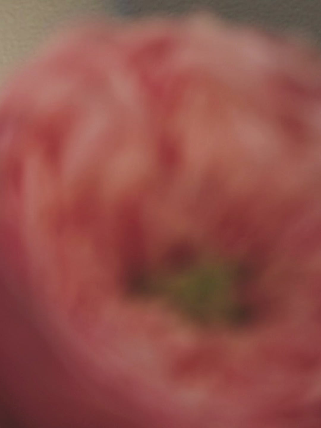 Immagine di Himalaya Rose Handwash
